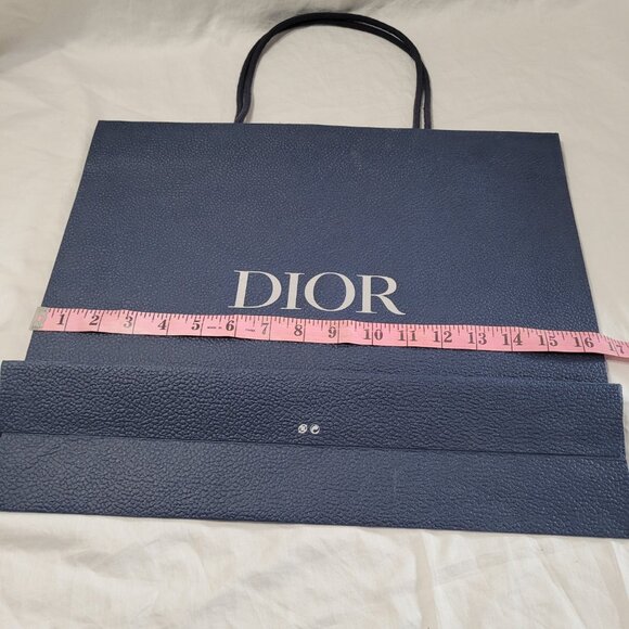 Dior Blue Textured Gift Bag Empty Logo Spell Out Bug Reusable Decorative Craft - Picture 12 of 15